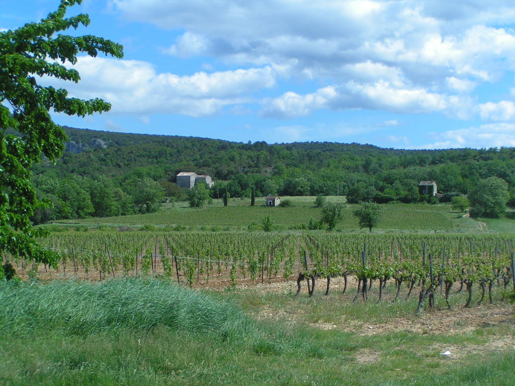 Aux Couleurs D'Ardeche Apartment Vallon-Pont-dʼArc Екстериор снимка